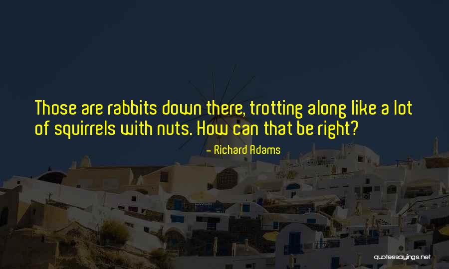 Richard Adams Quotes 1010261 Richard Adams Quotes 1010261