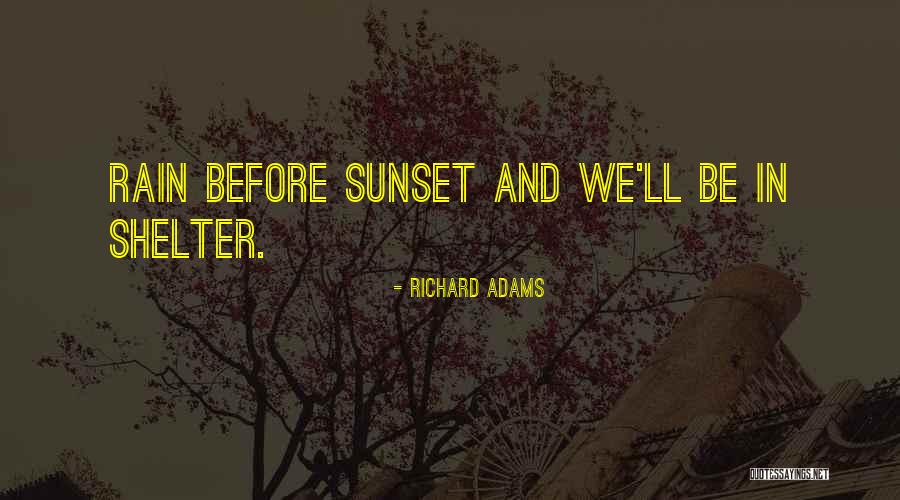 Richard Adams Quotes 1117141 Richard Adams Quotes 1117141