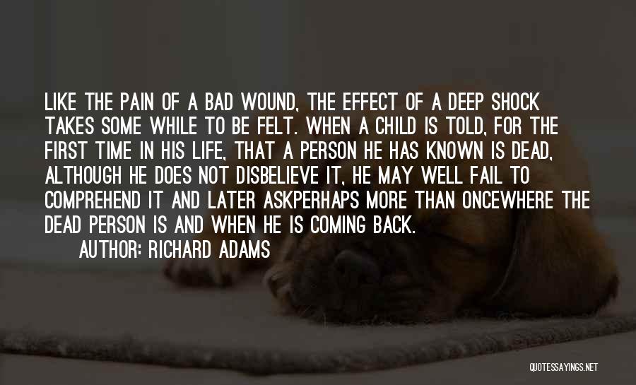 Richard Adams Quotes 1312972