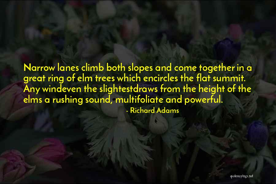 Richard Adams Quotes 1383099