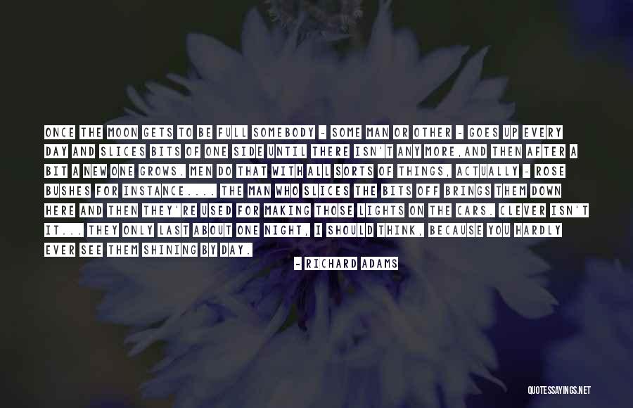 Richard Adams Quotes 1497340 Richard Adams Quotes 1497340