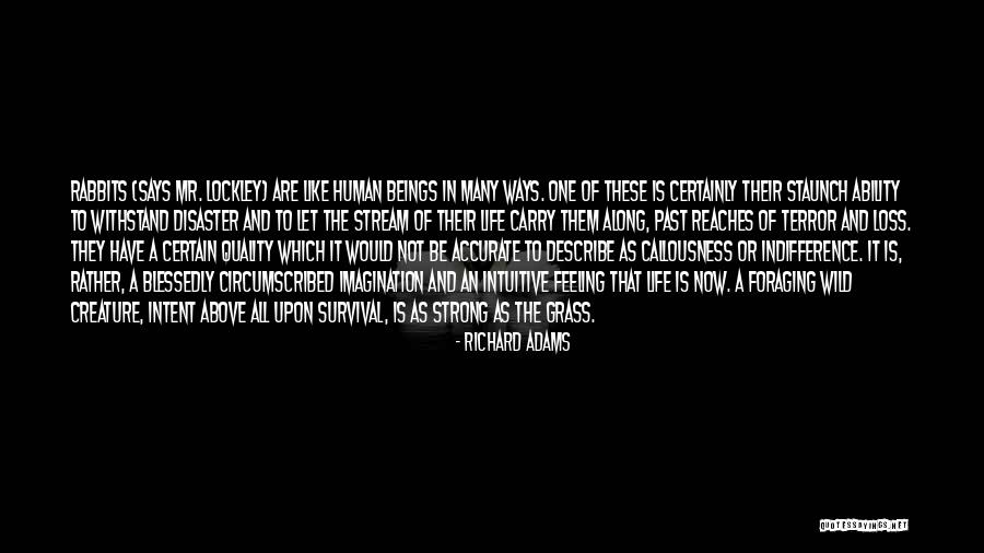 Richard Adams Quotes 189956 Richard Adams Quotes 189956