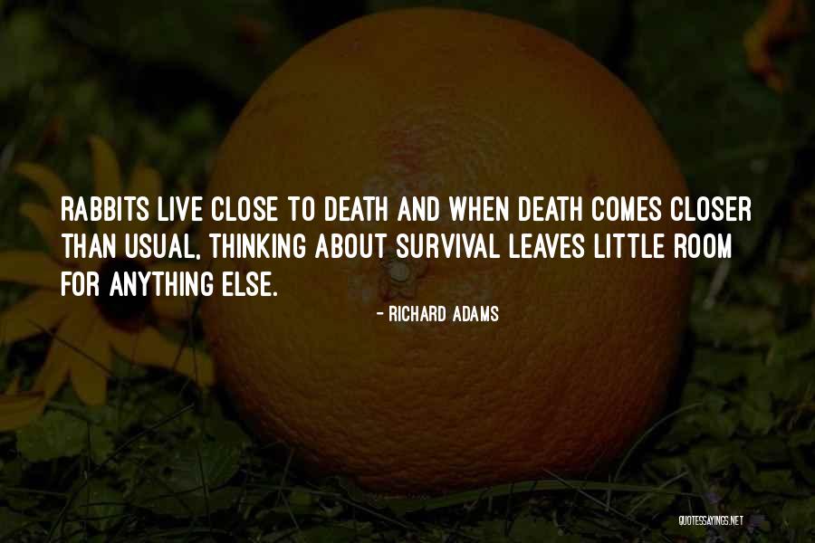 Richard Adams Quotes 2263688 Richard Adams Quotes 2263688