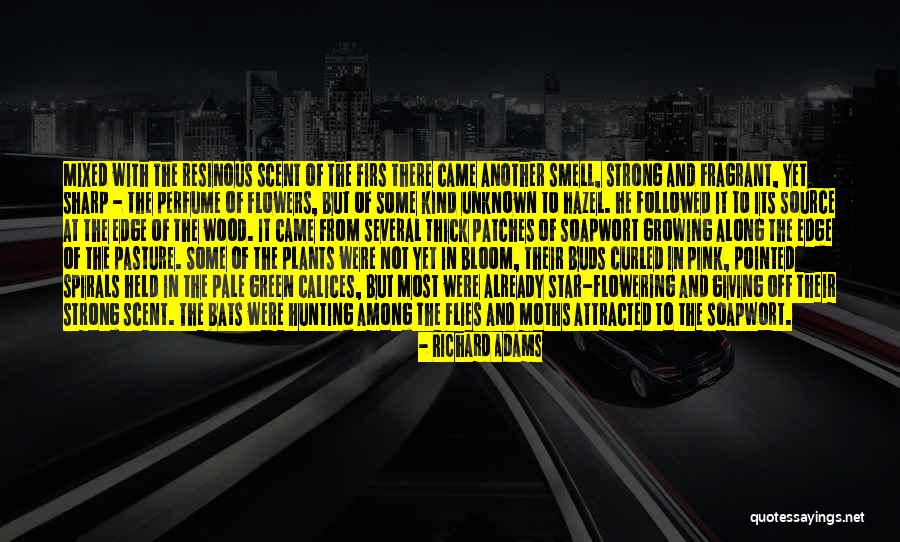 Richard Adams Quotes 347441 Richard Adams Quotes 347441