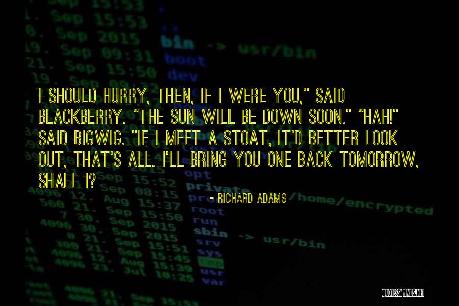 Richard Adams Quotes 418517 Richard Adams Quotes 418517