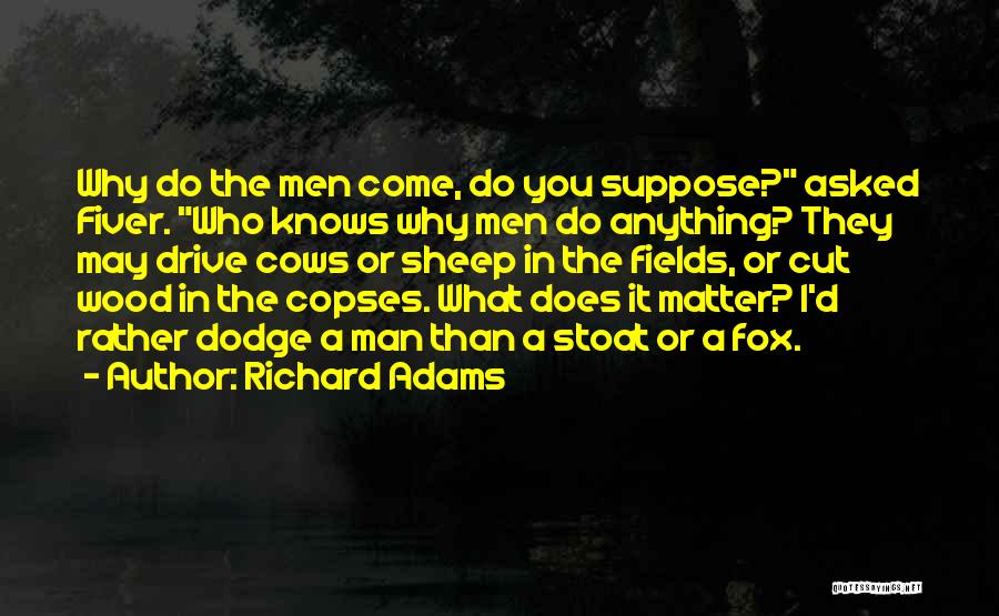 Richard Adams Quotes 609351