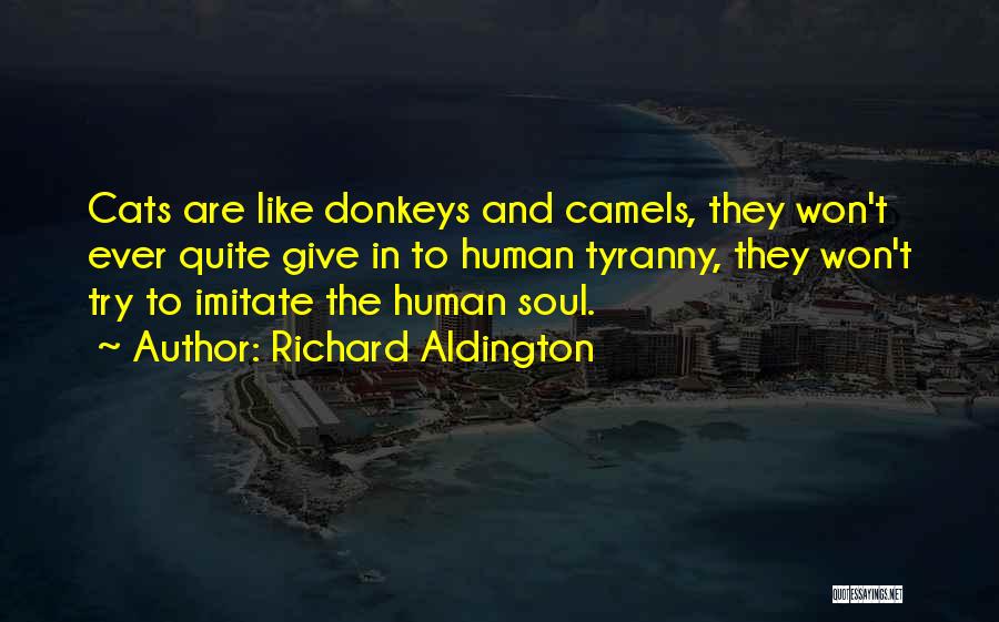 Richard Aldington Quotes 1801622