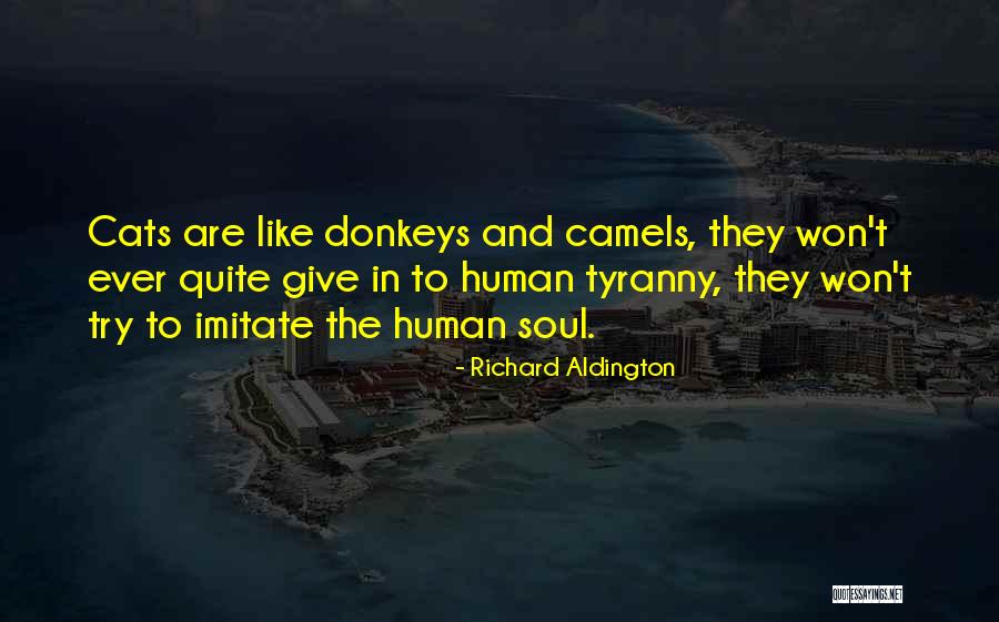 Richard Aldington Quotes 1801622