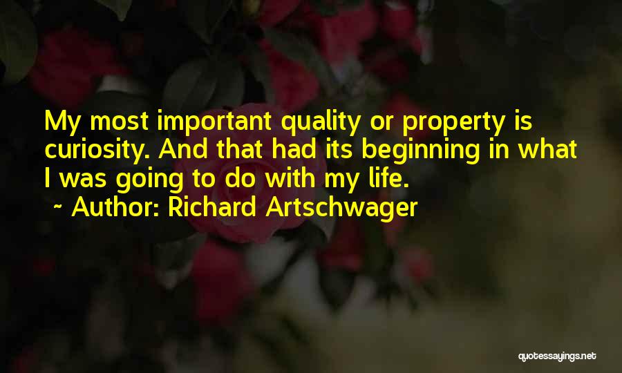 Richard Artschwager Quotes 1498866