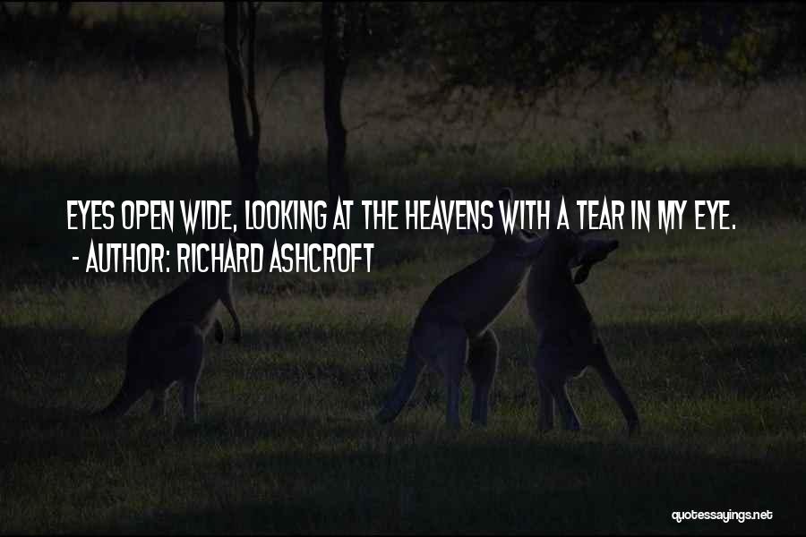 Richard Ashcroft Quotes 2128471