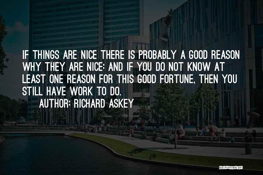 Richard Askey Quotes 1712470