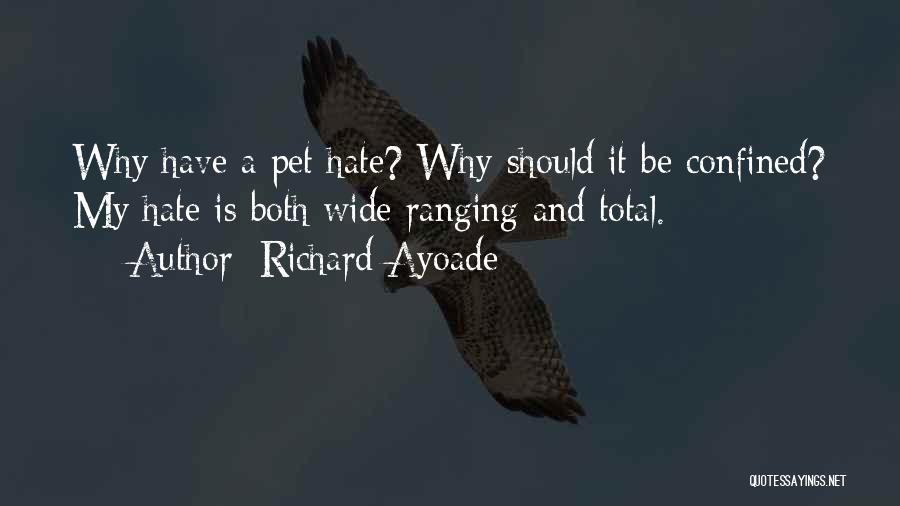 Richard Ayoade Quotes 1169985