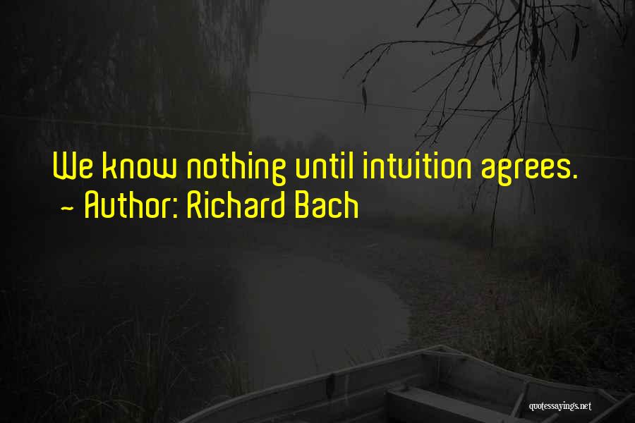 Richard Bach Quotes 1200276