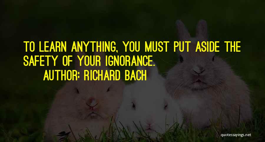 Richard Bach Quotes 1354254