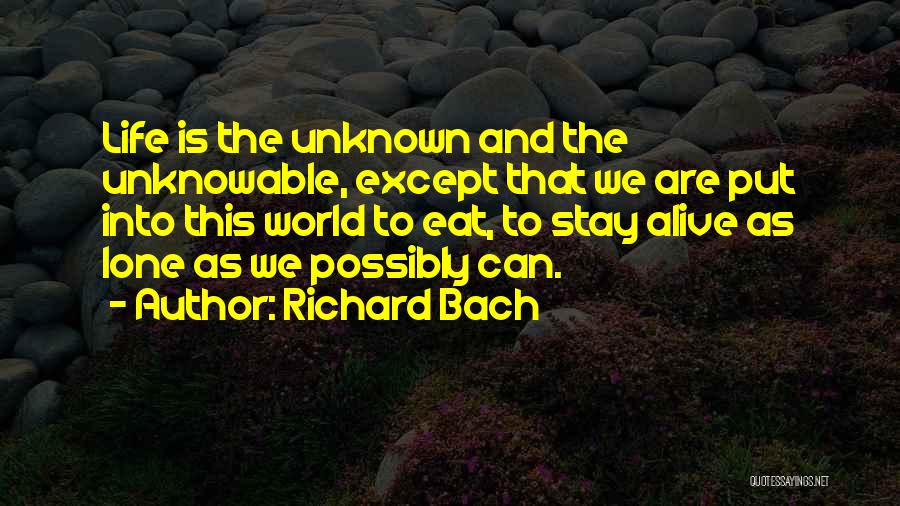 Richard Bach Quotes 1398218