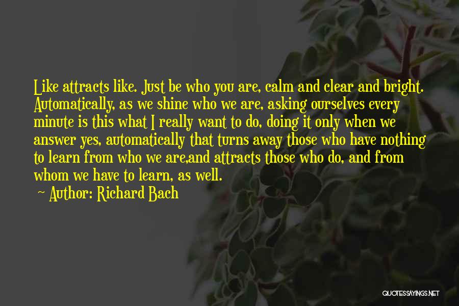 Richard Bach Quotes 1777896