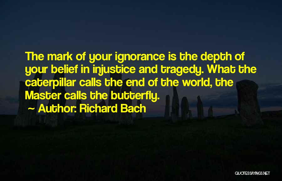 Richard Bach Quotes 2210348