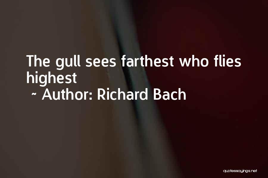 Richard Bach Quotes 361751