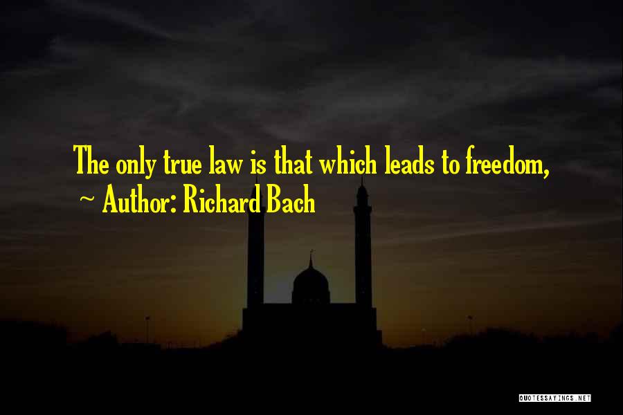 Richard Bach Quotes 435114