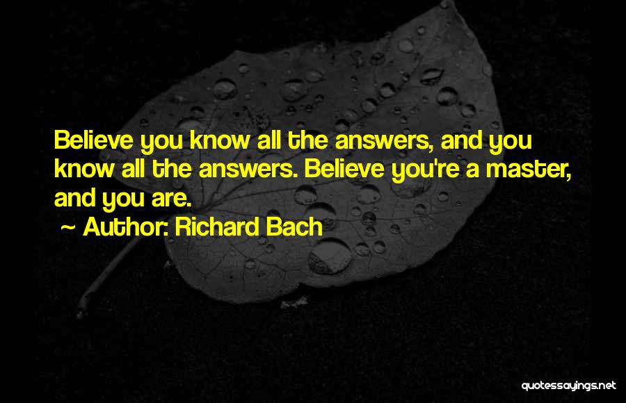 Richard Bach Quotes 541084