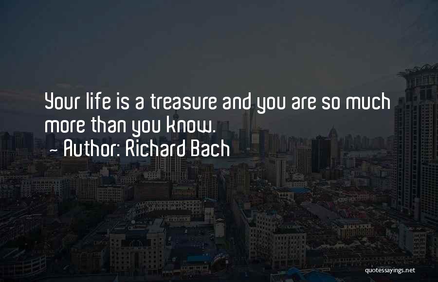 Richard Bach Quotes 641891