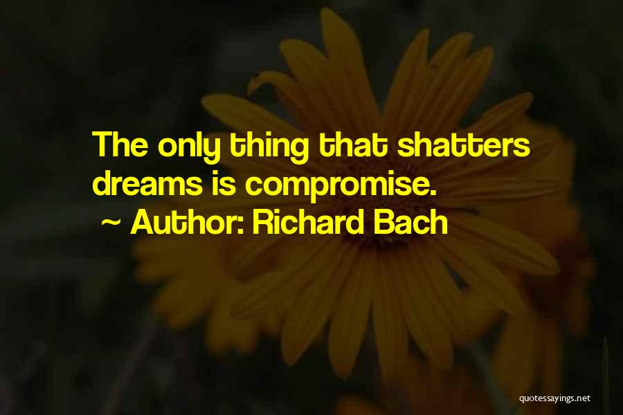 Richard Bach Quotes 693498