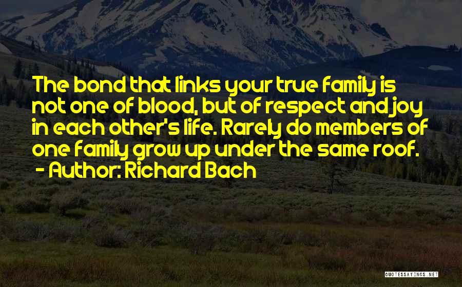 Richard Bach Quotes 792670