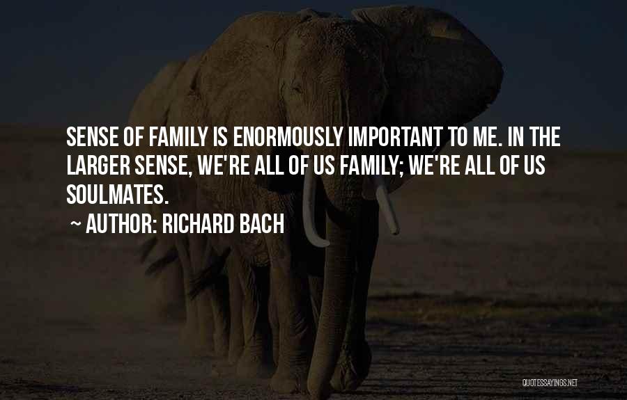 Richard Bach Quotes 918453