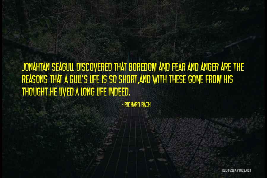 Richard Bach Seagull Quotes By Richard Bach Richard Bach Seagull Quotes By Richard Bach