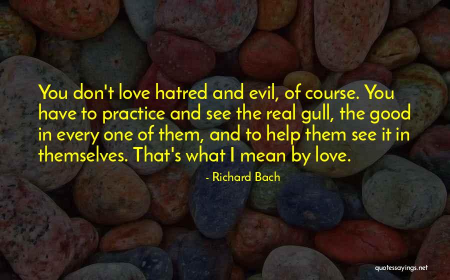 Richard Bach Seagull Quotes By Richard Bach Richard Bach Seagull Quotes By Richard Bach