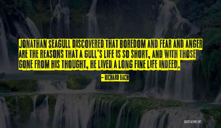 Richard Bach Seagull Quotes By Richard Bach Richard Bach Seagull Quotes By Richard Bach