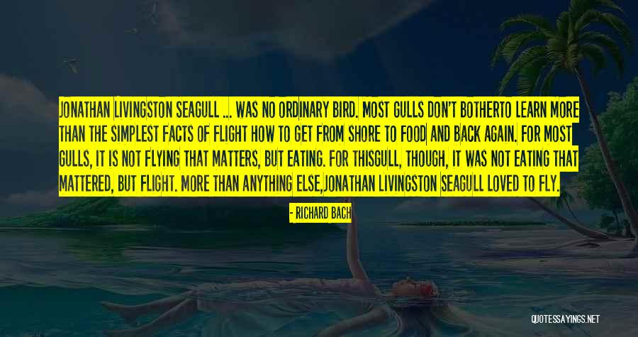 Richard Bach Seagull Quotes By Richard Bach Richard Bach Seagull Quotes By Richard Bach