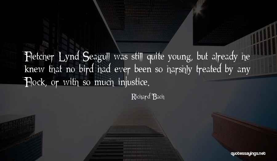 Richard Bach Seagull Quotes By Richard Bach Richard Bach Seagull Quotes By Richard Bach