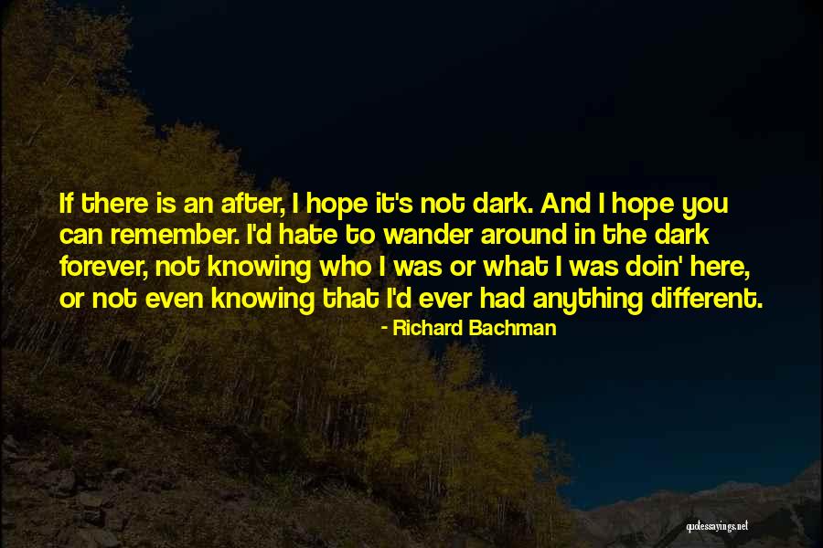 Richard Bachman Quotes 207391