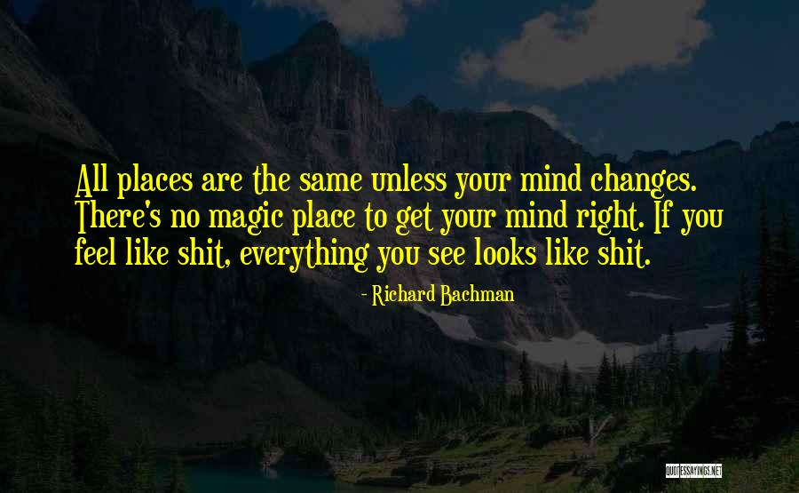 Richard Bachman Quotes 289871