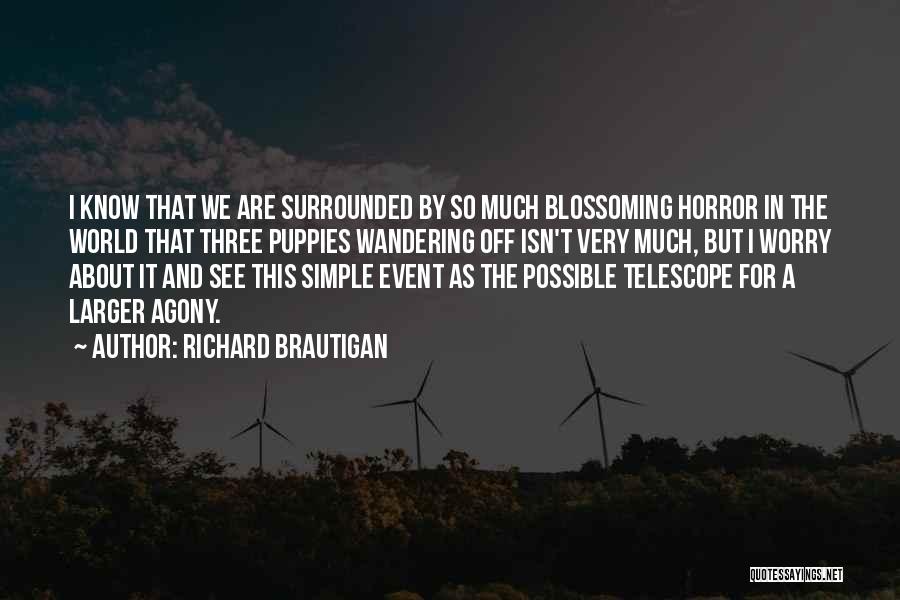 Richard Brautigan Quotes 1062685