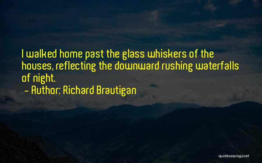 Richard Brautigan Quotes 1571276
