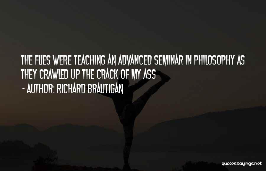 Richard Brautigan Quotes 972991