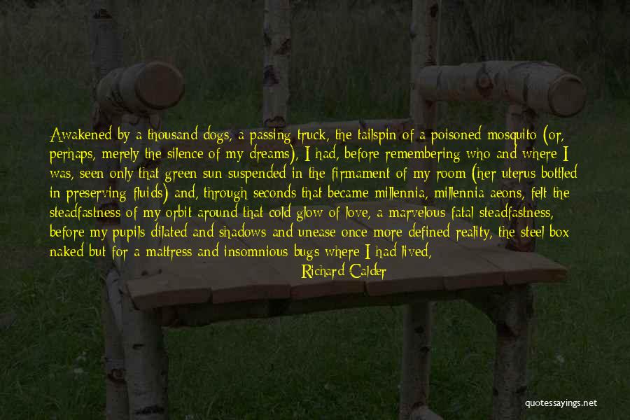 Richard Calder Quotes 1882162 Richard Calder Quotes 1882162