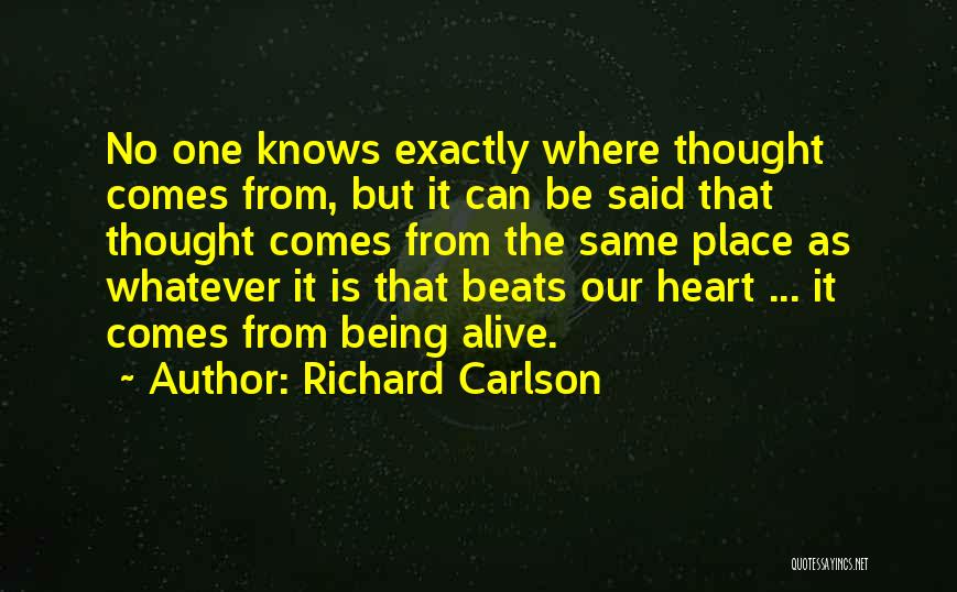 Richard Carlson Quotes 1853110