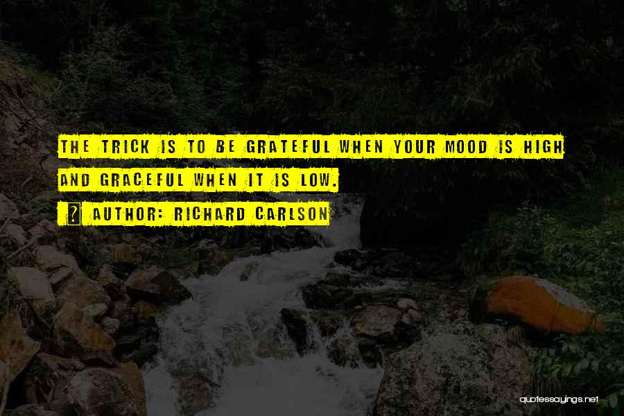 Richard Carlson Quotes 2264112