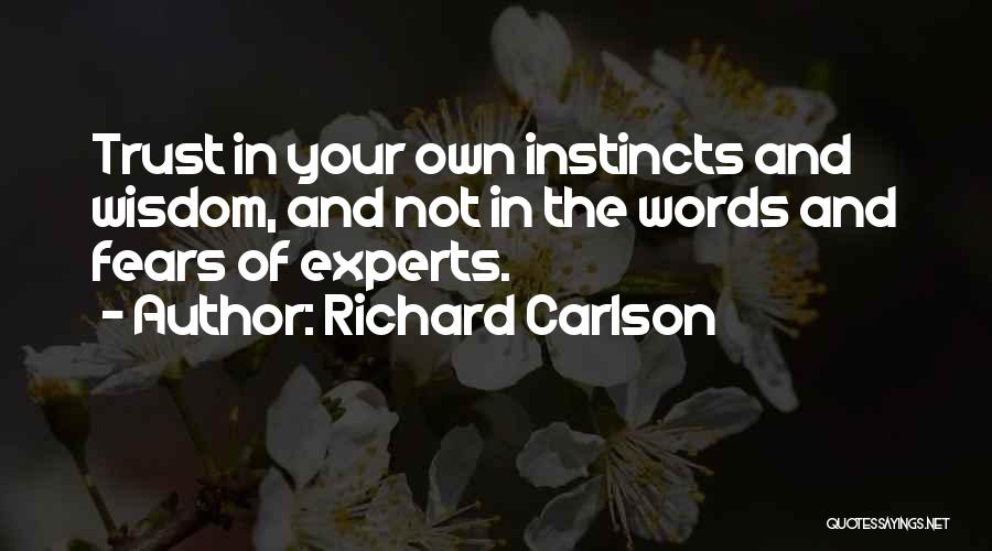 Richard Carlson Quotes 935293