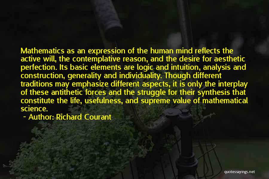 Richard Courant Quotes 1538438