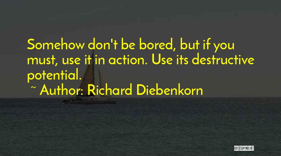 Richard Diebenkorn Quotes 1528502