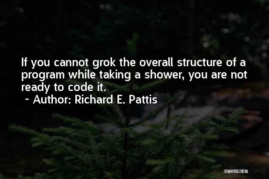 Richard E. Pattis Quotes 1450376
