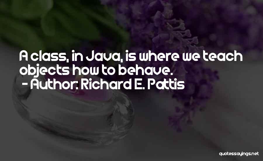 Richard E. Pattis Quotes 775976