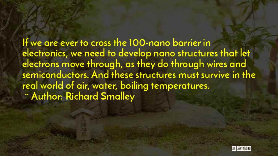 Richard E Smalley Quotes By Richard Smalley