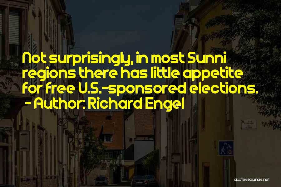 Richard Engel Quotes 1241728