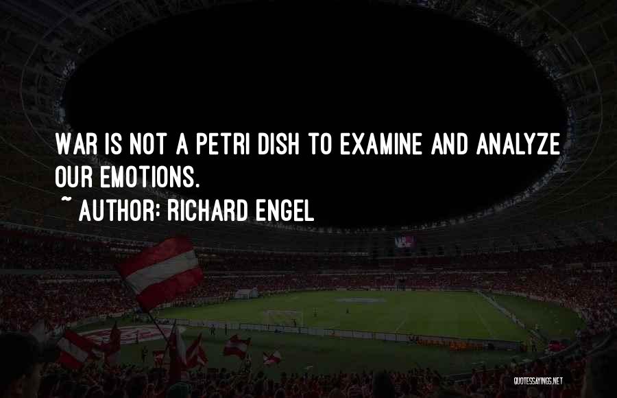 Richard Engel Quotes 1565869