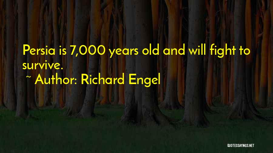 Richard Engel Quotes 1576752